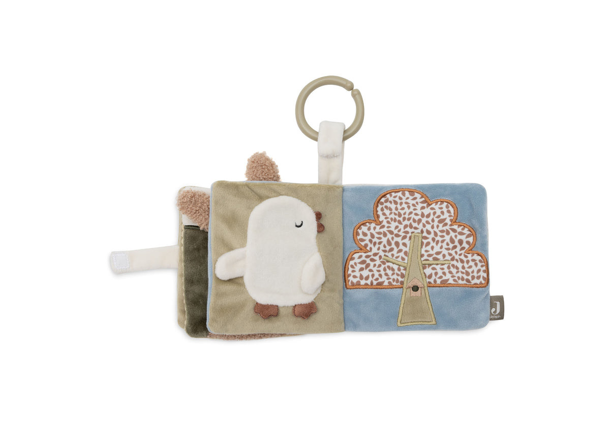 Akivités Cubes beaux oiseaux