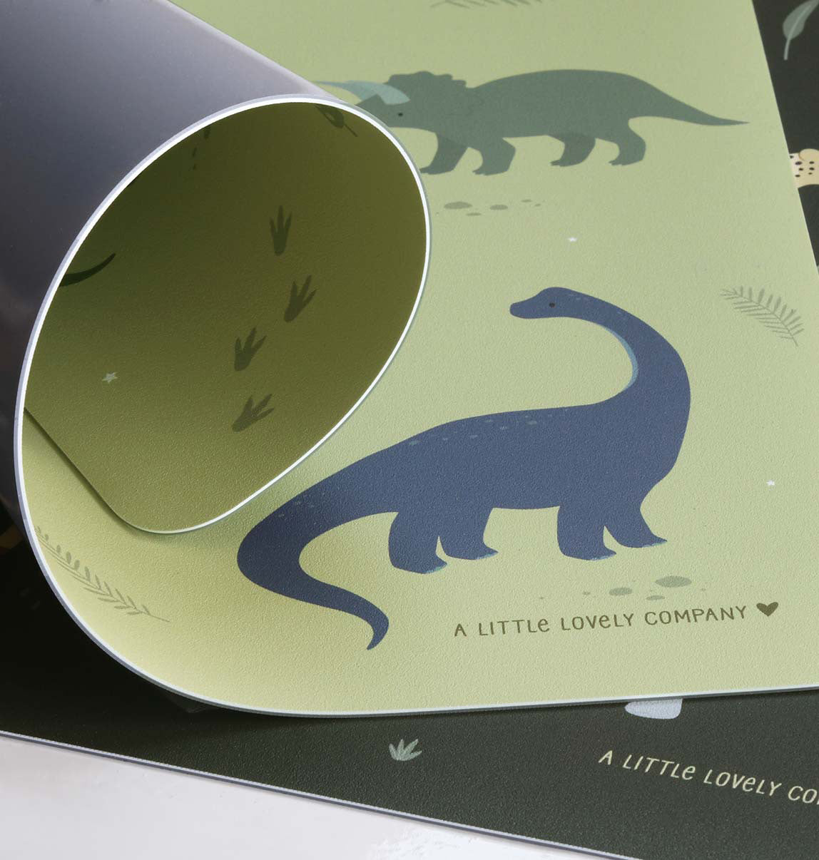 Dinosaurs placemat