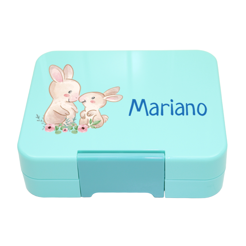 Bento Box Klein - Mint