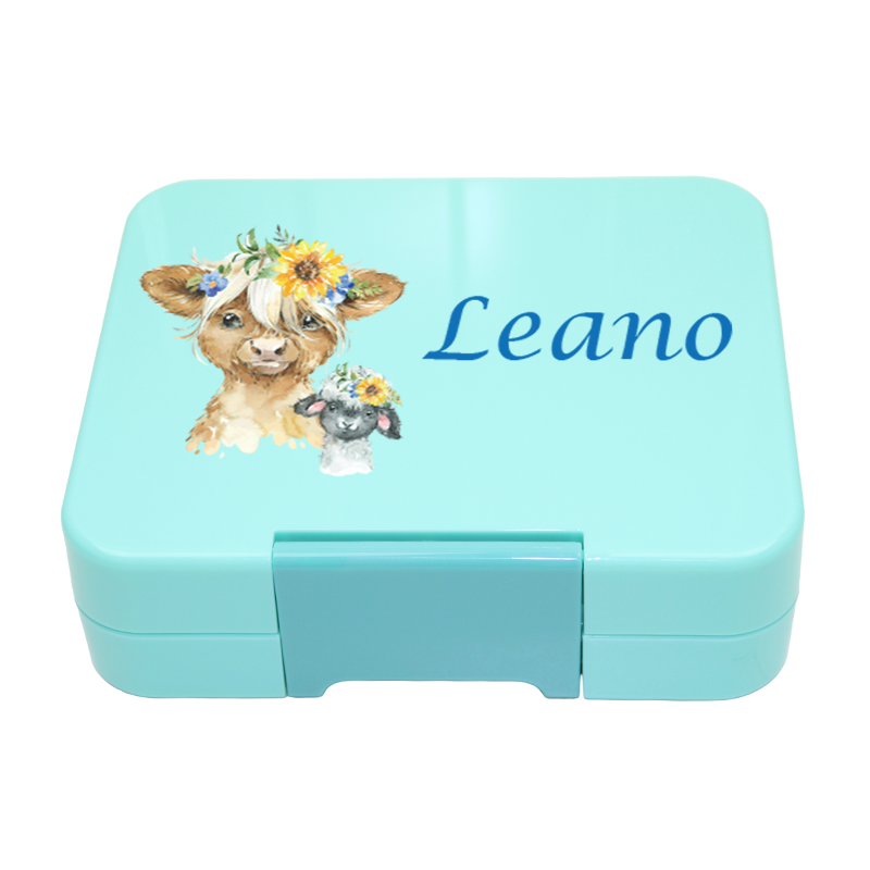 Bento Box Klein - Mint