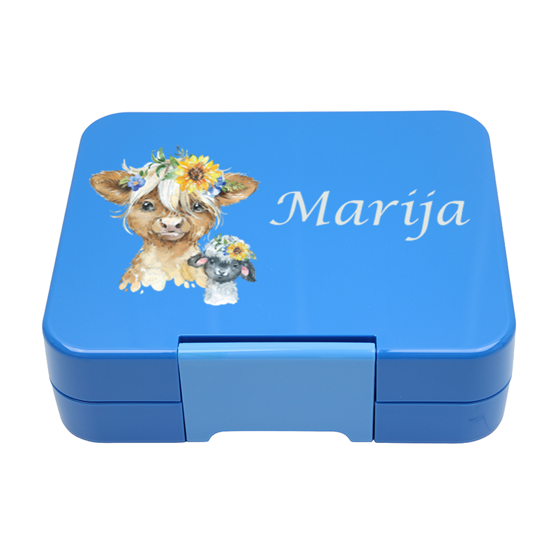 Bento Box Klein - Mittelblau