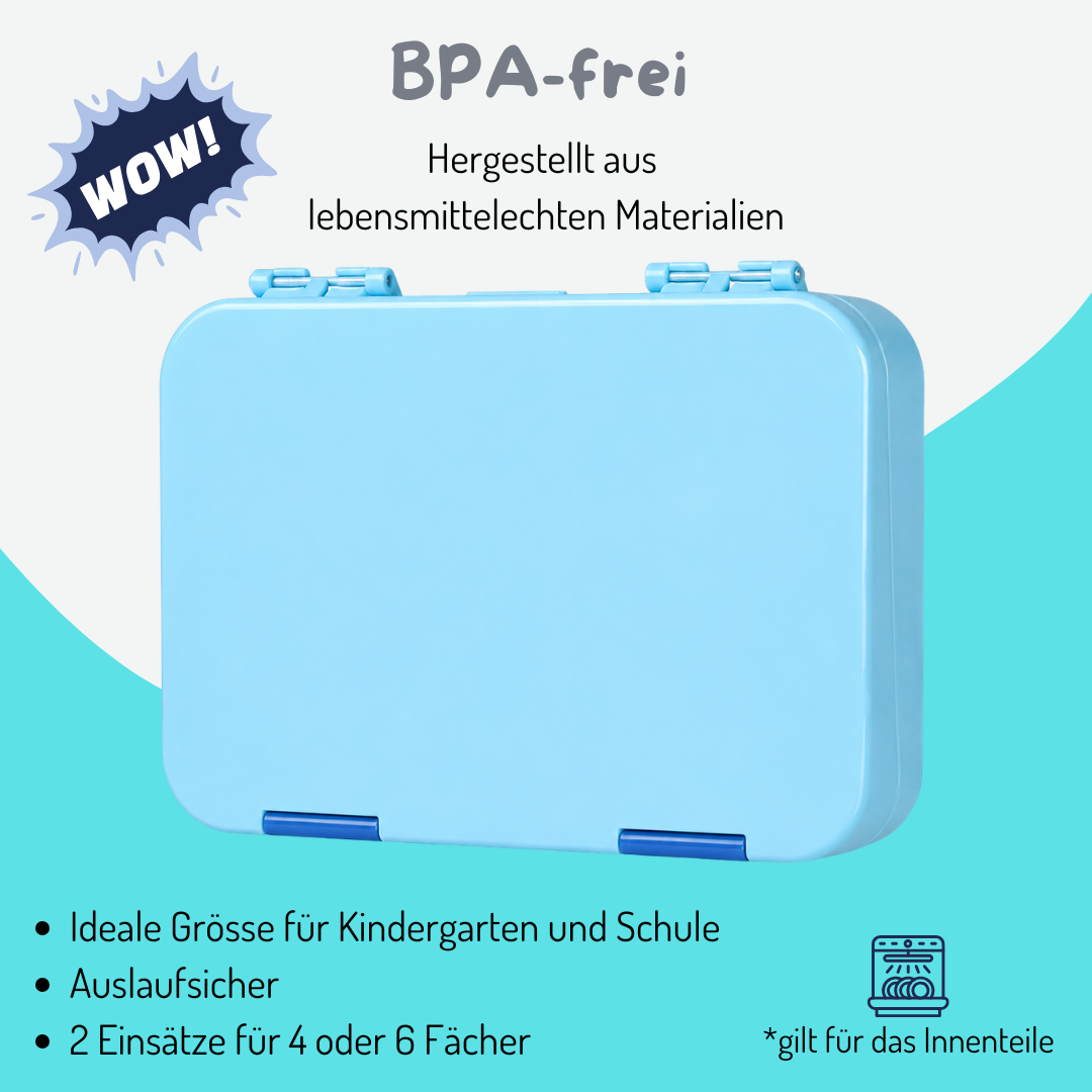 Bento Box Mittel - Aqua