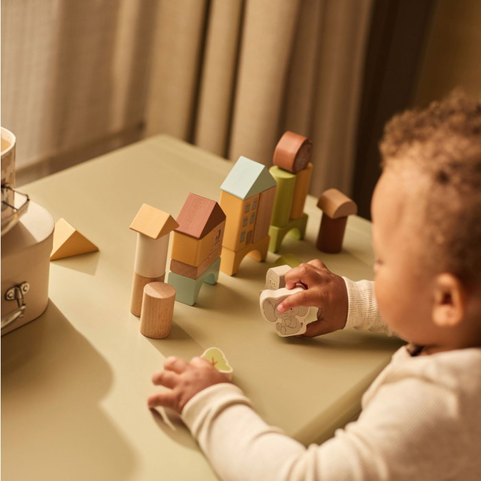 Jollies Wooden Block Set