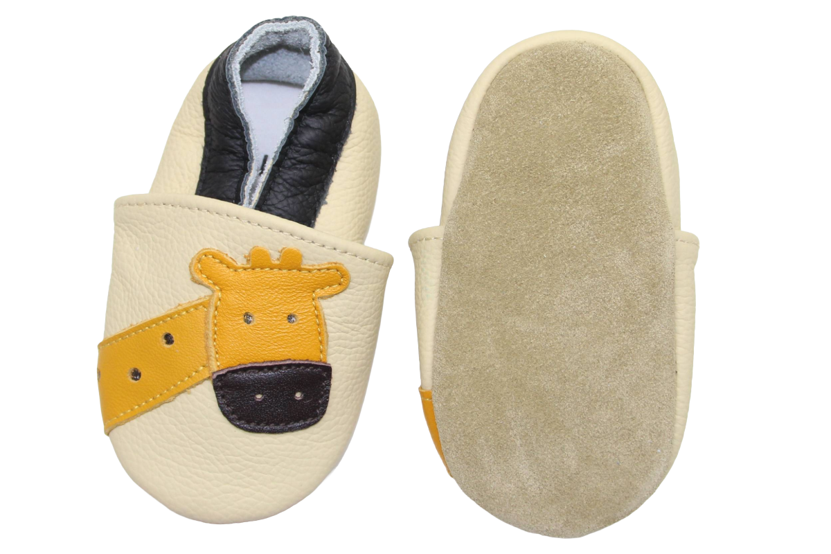 Leather finches 6-12 Mt. Panda