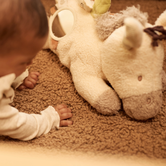 Aktivitäten Kuscheltier Donkey Dinky