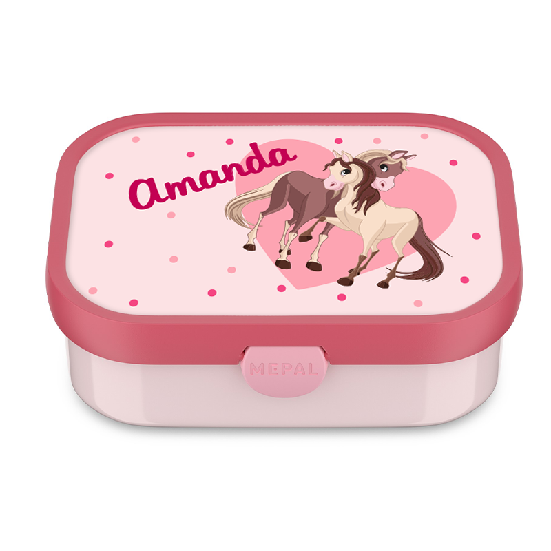 MEPAL horse heart snack box