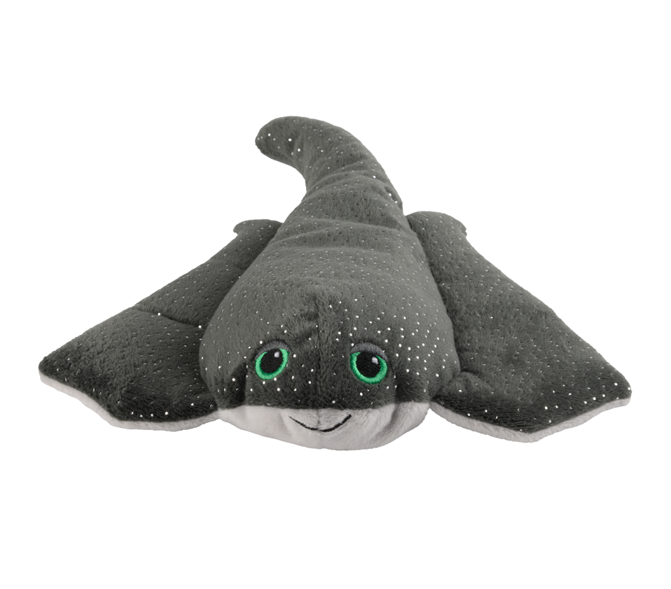 Rays des mini-manta les plus chauds