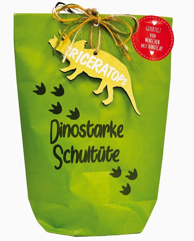 Wonder bag start of school dinosaurs