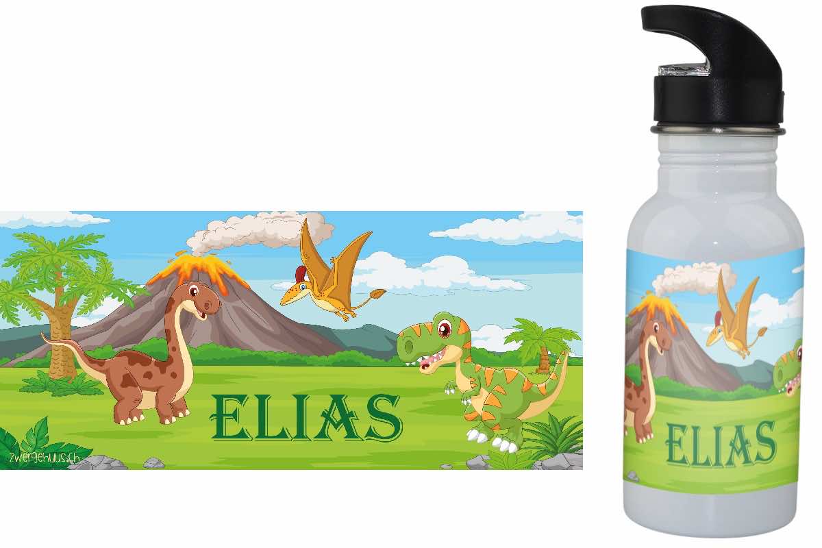 Dinosaur drinking bottle